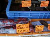 🍣 Seafood Sunrise: My Morning at Hakodate Asaichi