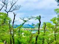 【田園調布から多摩川へ行き紫陽花、多摩川台古墳群、亀甲山古墳、多摩川浅間神社】