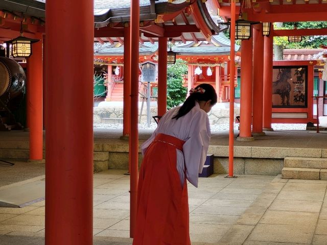 神戶鬧區內的櫻花秘境/生田神社