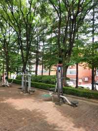 🌳잠시 휴식하기 좋은 군포 금정동 작은공원, "느티울어린이공원"🌳