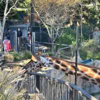 Taronga Zoo