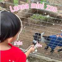 Lanna Mini Zoo (ลานนา มินิ ซู) 🐰🦆🐒