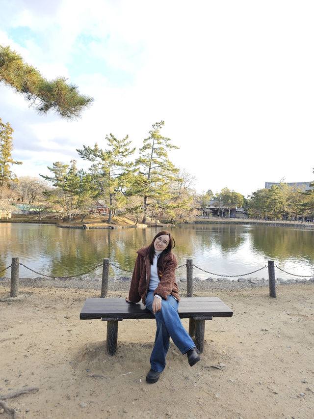 Nara Day trip ✨ Big buddha & bowing deer 🦌🫶🏻
