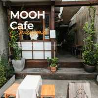 🍩 MOOH Cafe – คาเฟ่โดนัทโฮมเมดสุดฮอตแห่งนิมมาน