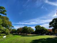 漫步大仙公園：大阪堺市綠意與文化的共鳴地