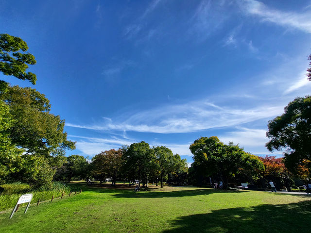 漫步大仙公園：大阪堺市綠意與文化的共鳴地