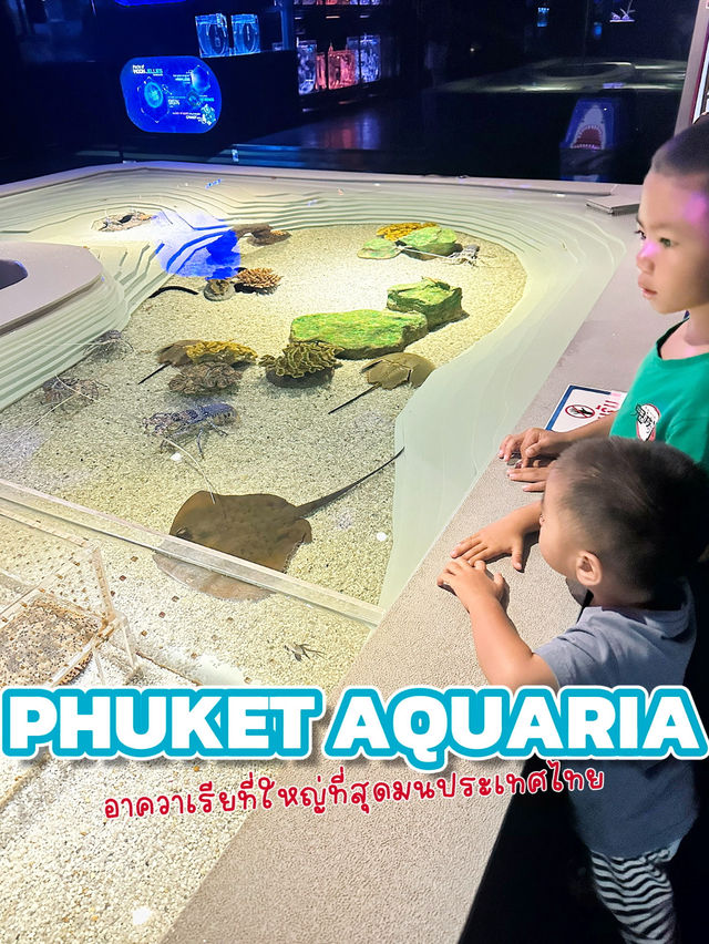 Phuket Aquaria