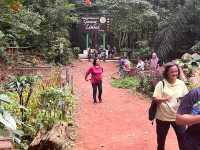 🏞 Gunung Lambak: Conquered the Jungle Beast!