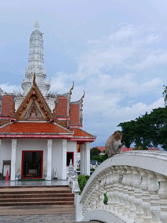 1 เดย์ทริป เมืองเพชรบุรี 