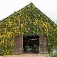 The Birder's Lodge 