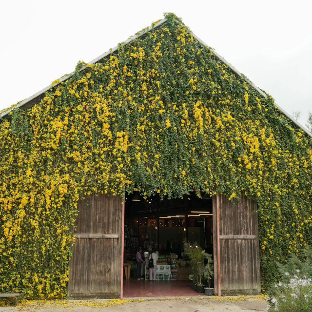 The Birder's Lodge 