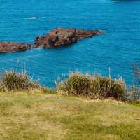 Futatsugame Beach: Shizuoka’s Secret Coastal Paradise – A Solo Traveler’s Escape"** 🌊🐢   