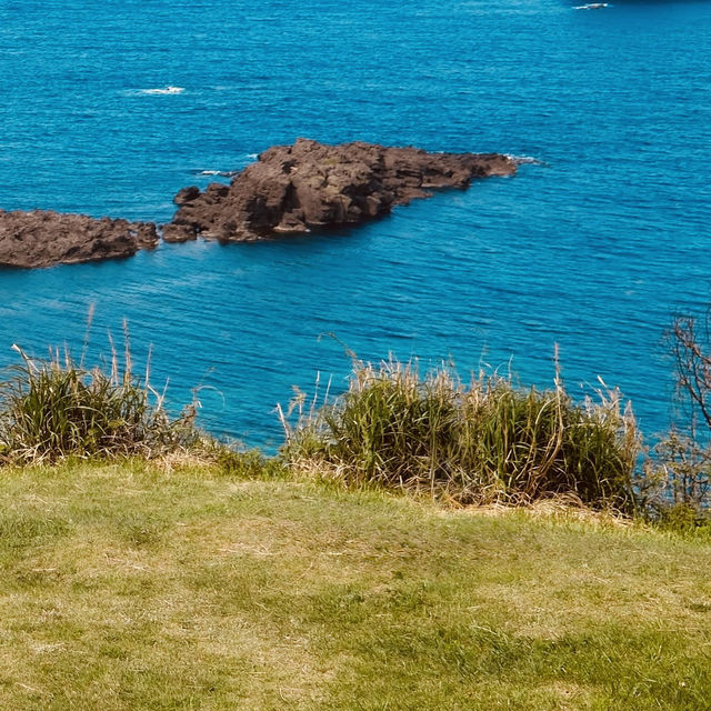 Futatsugame Beach: Shizuoka’s Secret Coastal Paradise – A Solo Traveler’s Escape"** 🌊🐢   