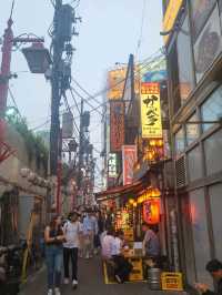Omoide Yokocho: Lantern-Lit Flavors and Tokyo Whispers