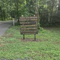Caddo Lake State Park – East Texas
