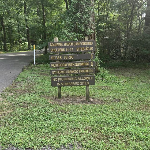 Caddo Lake State Park – East Texas