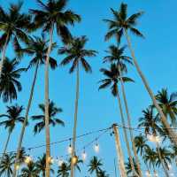Waves of Wonder and Island Ease
