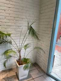 Hejau @ The Gasket Alley: Calm Spot for Matcha Lovers