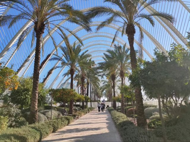 The Umbracle is a Whole Mood 