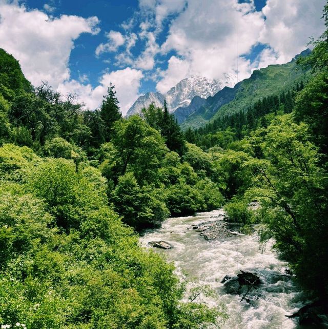 四川四姑娘山長坪溝景區旅行遊玩攻略
