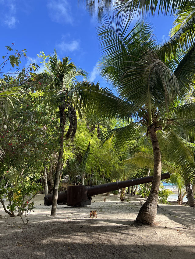【サイパン】マニャガハ島の魅力🏝️✨✨