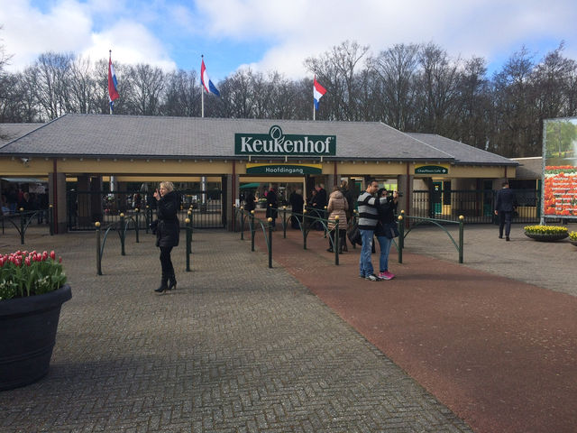 【Keukenhof／キューケンホフ｜“世界最大級のチューリップ庭園”】