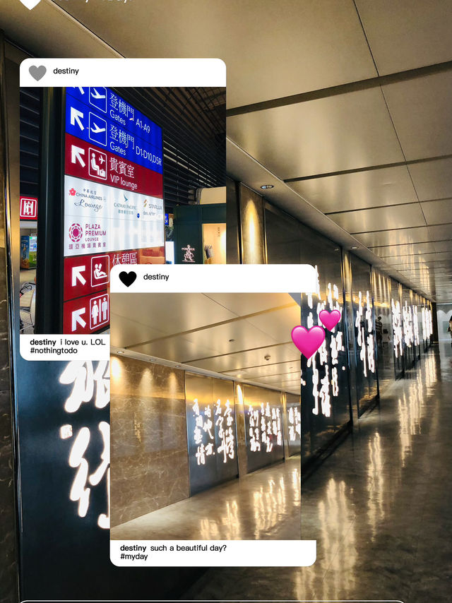 打卡📸美食樣樣齊