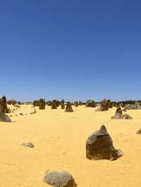 🪨 Pinnacles Desert – Western Australia’s Alien Landscape 🌌🛸