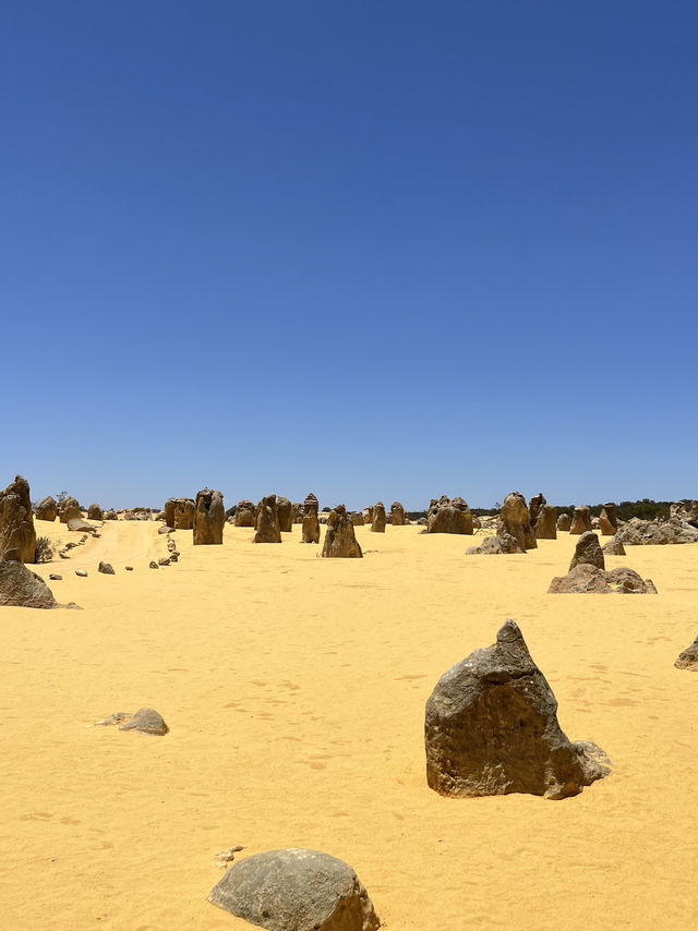 🪨 Pinnacles Desert – Western Australia’s Alien Landscape 🌌🛸