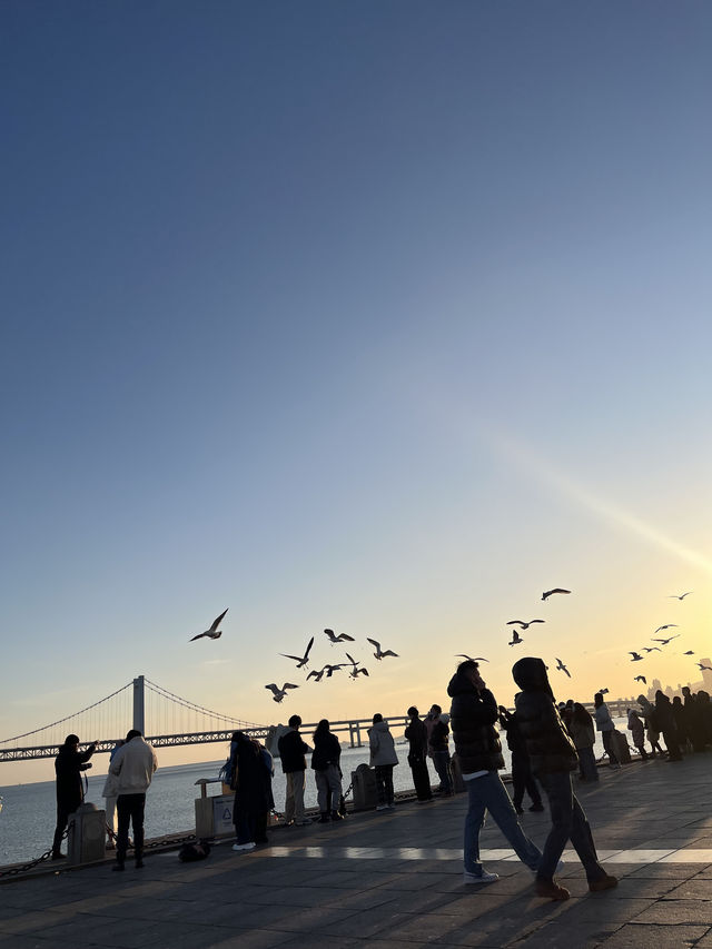 🌊 가성비가 내려와 대련 2일차: 성게만두 먹고, 바닷바람 맞고, 쇼핑으로 마무리!