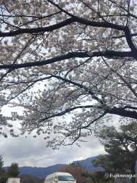 ปิกนิกริมทะเลสาบที่ Wakakusa-no-yado Maruei Hotel