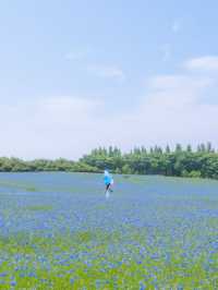 (실시간) 파란 물결 시작된 아그로랜드🌿💙