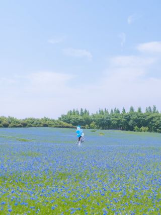 (Thời gian thực) Nông trại nơi làn sóng xanh bắt đầu🌿💙