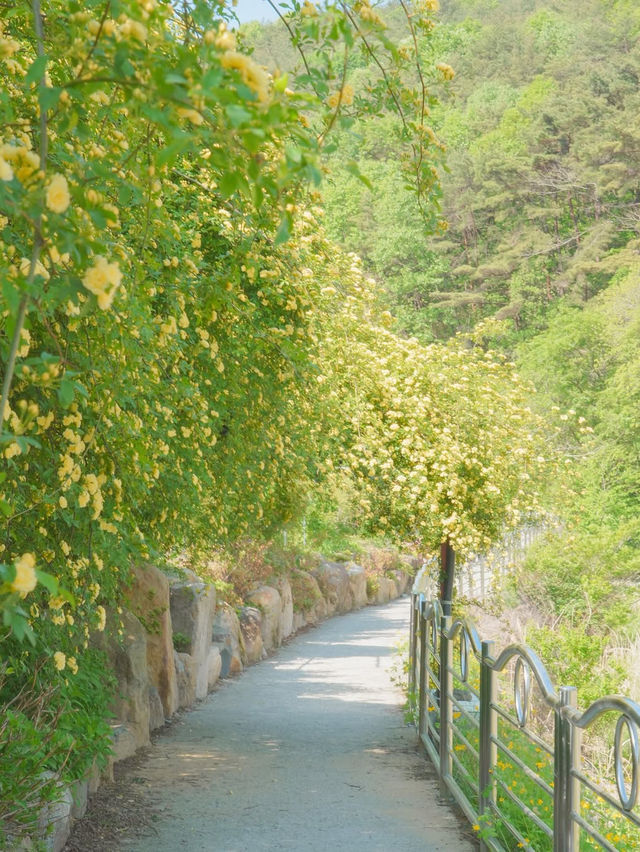 피드로도 기록해보는 창원의 노란빛 순간들💛