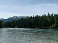 Mountains, Meadows & All the Feels. Altay Scenic Spot