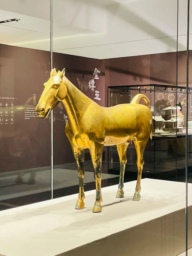 Luoyang Museum 🏛️