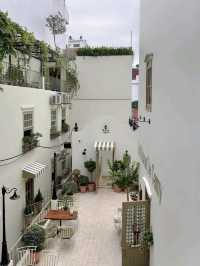 Camy Café