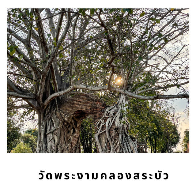 🌅 วัดพระงาม – วัดลับกลางทุ่งกับประตูพุทธซ้อนเวลา