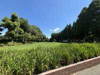 熊本水前寺成趣園-肥後六花