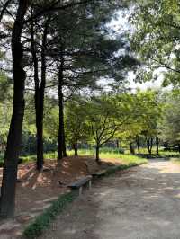 호숫가 습지길