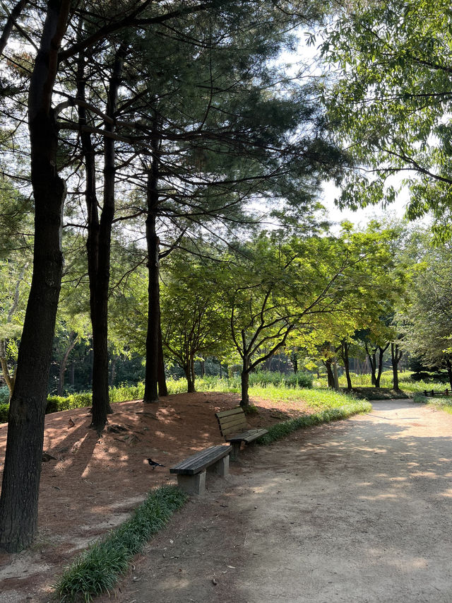 호숫가 습지길
