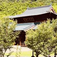 Lanting (Orchid Pavilion): Where Calligraphy Meets Nature's Poetry