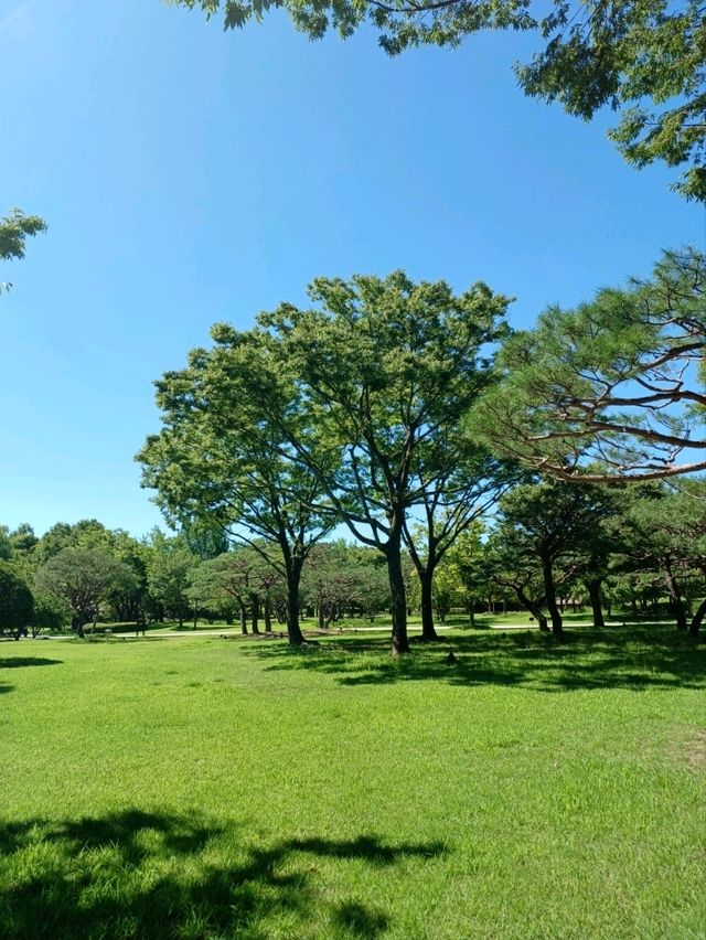 전통과 자연의 완벽한 어울림