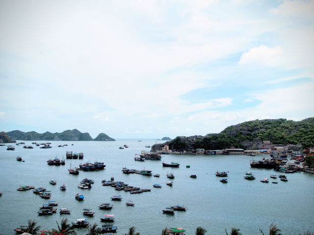 Weekend trip to Cat Ba island by motorbike