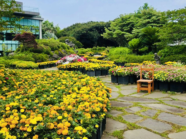 A Thrilling Challenge in Jeju's Green Labyrinths