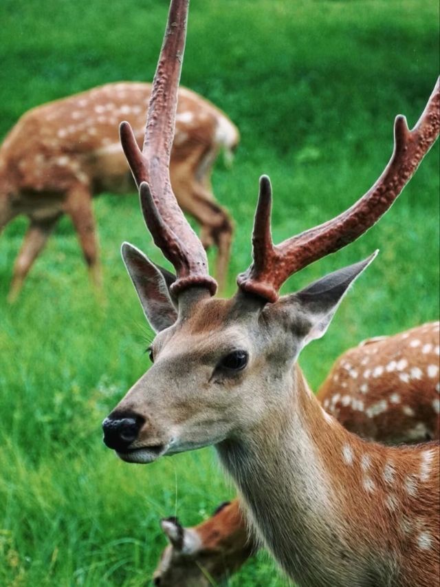 A Sanctuary Where Nature And 5,000 Years Of History Breathe Together