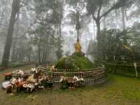 ดอยช้างมูบ เชียงราย 