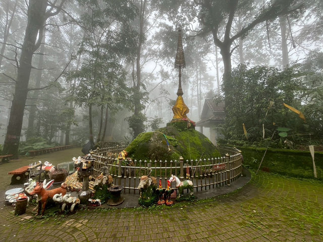 ดอยช้างมูบ เชียงราย 