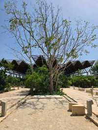 Creative Curiosities and Ocean Vibes at Mureco Museum
