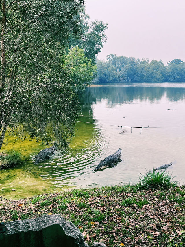 静寂と野生の楽園！パヤ・インダ・パークで癒しのデイトリップ🦛🌿